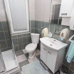 Vila Ski Radan