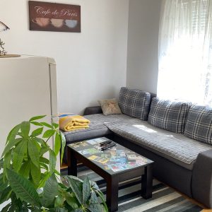 Zlatibor smeštaj, Smeštaj Zlatibor najpovoljnije cene, Apartmani Zlatibor direktno od vlasnika