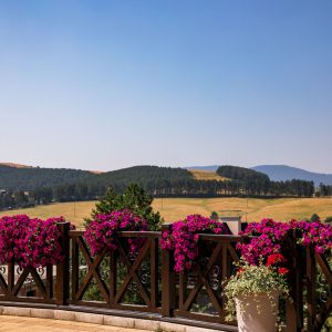 Zlatibor smeštaj, Smeštaj Zlatibor najpovoljnije cene, Apartmani Zlatibor direktno od vlasnika