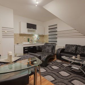 Vila Ski Radan