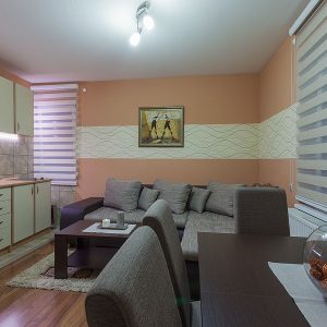Vila Ski Radan