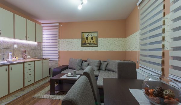 Vila Ski Radan