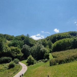 Zlatibor smeštaj, Smeštaj Zlatibor najpovoljnije cene, Apartmani Zlatibor direktno od vlasnika