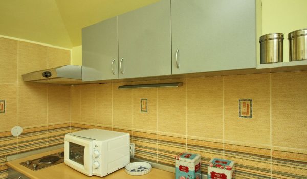 Apartman Zona centar 06