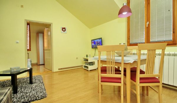 Apartman Zona centar 10