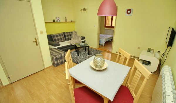 Apartman Zona centar 11